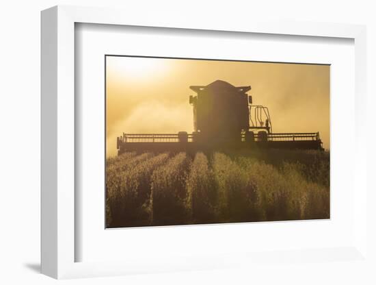 Farmer Harvesting Soybeans at Sunset, Marion County, Illinois-Richard and Susan Day-Framed Photographic Print