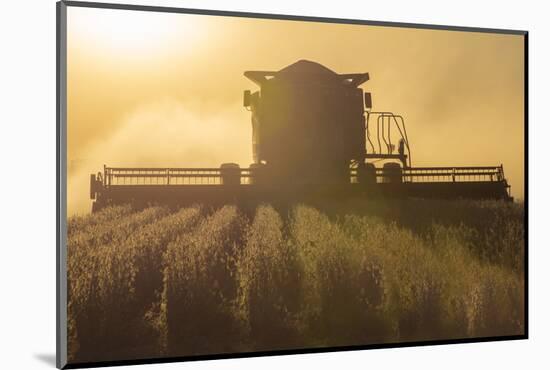 Farmer Harvesting Soybeans at Sunset, Marion County, Illinois-Richard and Susan Day-Mounted Photographic Print