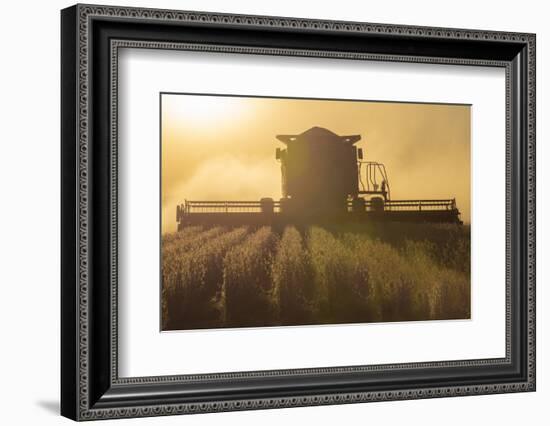 Farmer Harvesting Soybeans at Sunset, Marion County, Illinois-Richard and Susan Day-Framed Photographic Print