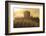 Farmer Harvesting Soybeans at Sunset, Marion County, Illinois-Richard and Susan Day-Framed Photographic Print