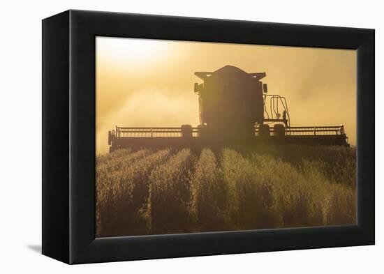 Farmer Harvesting Soybeans at Sunset, Marion County, Illinois-Richard and Susan Day-Framed Premier Image Canvas