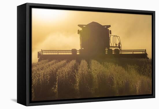 Farmer Harvesting Soybeans at Sunset, Marion County, Illinois-Richard and Susan Day-Framed Premier Image Canvas