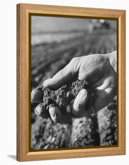 Farmer Holding a Handful of Soil-Ed Clark-Framed Premier Image Canvas