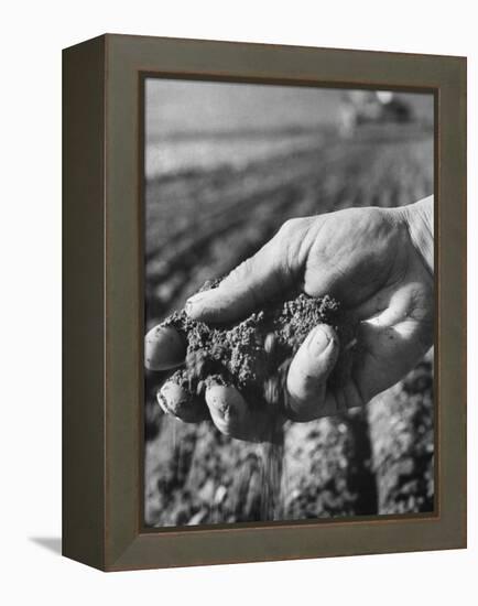 Farmer Holding a Handful of Soil-Ed Clark-Framed Premier Image Canvas