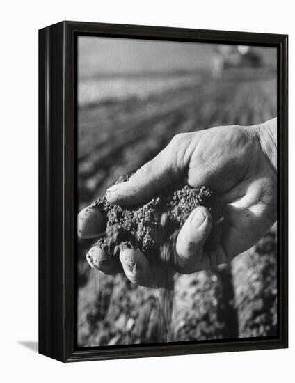 Farmer Holding a Handful of Soil-Ed Clark-Framed Premier Image Canvas