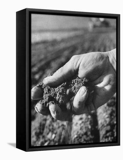 Farmer Holding a Handful of Soil-Ed Clark-Framed Premier Image Canvas