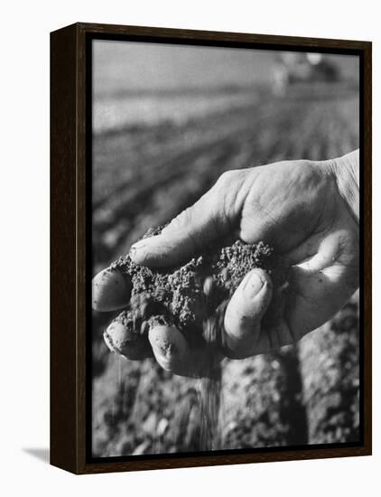 Farmer Holding a Handful of Soil-Ed Clark-Framed Premier Image Canvas