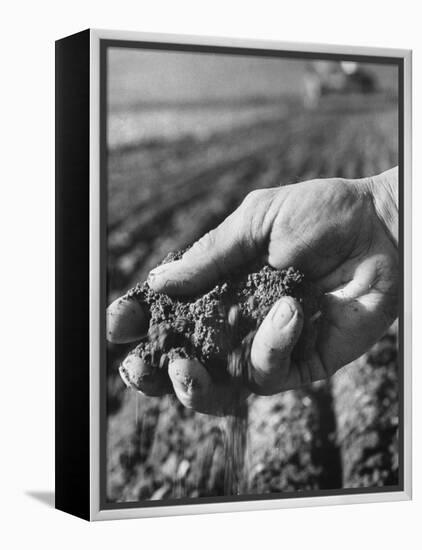 Farmer Holding a Handful of Soil-Ed Clark-Framed Premier Image Canvas