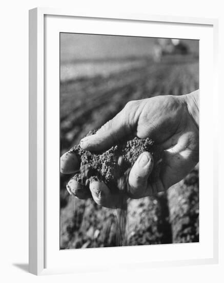 Farmer Holding a Handful of Soil-Ed Clark-Framed Premium Photographic Print