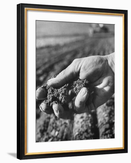 Farmer Holding a Handful of Soil-Ed Clark-Framed Premium Photographic Print