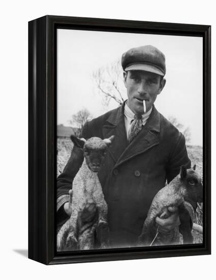 Farmer Holding His New Born Lambs in the Cotswolds-Henry Grant-Framed Premier Image Canvas