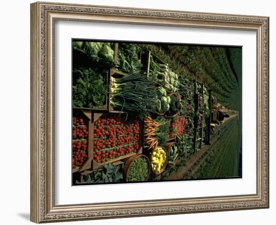 Farmer Hugh Tuttle Tractoring Fresh Produce from 50 Acre Farm Through Field to His Roadside Store-John Dominis-Framed Photographic Print