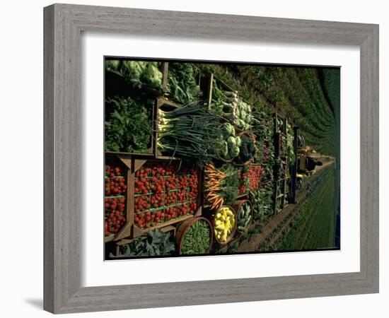 Farmer Hugh Tuttle Tractoring Fresh Produce from 50 Acre Farm Through Field to His Roadside Store-John Dominis-Framed Photographic Print