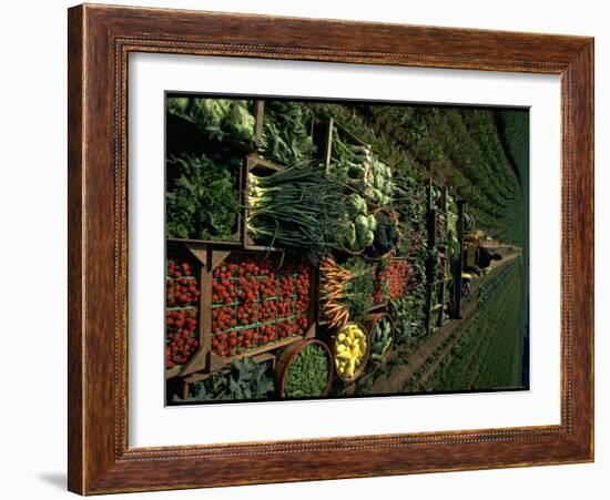 Farmer Hugh Tuttle Tractoring Fresh Produce from 50 Acre Farm Through Field to His Roadside Store-John Dominis-Framed Photographic Print
