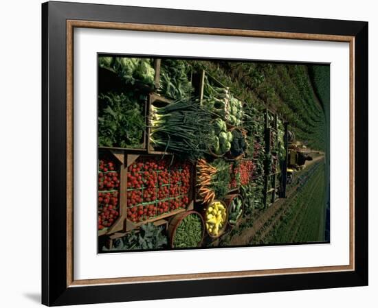 Farmer Hugh Tuttle Tractoring Fresh Produce from 50 Acre Farm Through Field to His Roadside Store-John Dominis-Framed Photographic Print