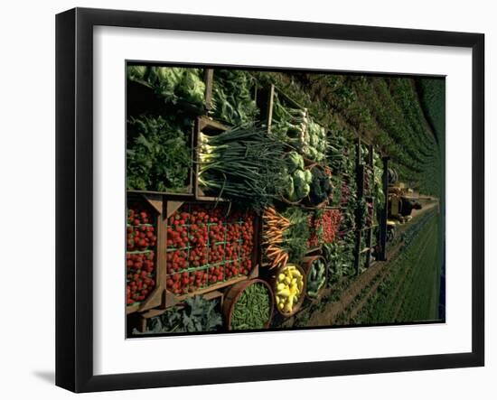 Farmer Hugh Tuttle Tractoring Fresh Produce from 50 Acre Farm Through Field to His Roadside Store-John Dominis-Framed Photographic Print