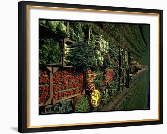 Farmer Hugh Tuttle Tractoring Fresh Produce from 50 Acre Farm Through Field to His Roadside Store-John Dominis-Framed Photographic Print