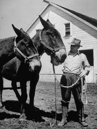 Farmer J. Vivian Truman, Brother of Harry Truman, Working with a Pair of  Mules' Photographic Print | Art.com