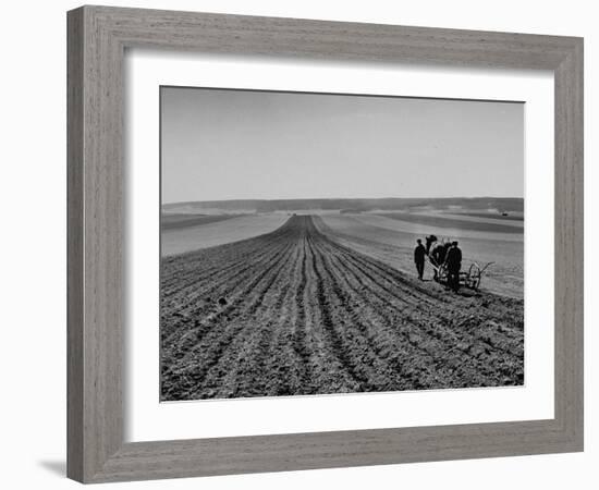 Farmer Lossening Top Soil of His Field-Dmitri Kessel-Framed Premium Photographic Print