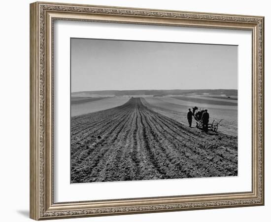 Farmer Lossening Top Soil of His Field-Dmitri Kessel-Framed Photographic Print