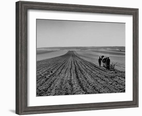 Farmer Lossening Top Soil of His Field-Dmitri Kessel-Framed Photographic Print