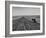 Farmer Lossening Top Soil of His Field-Dmitri Kessel-Framed Photographic Print