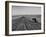 Farmer Lossening Top Soil of His Field-Dmitri Kessel-Framed Photographic Print