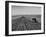 Farmer Lossening Top Soil of His Field-Dmitri Kessel-Framed Photographic Print