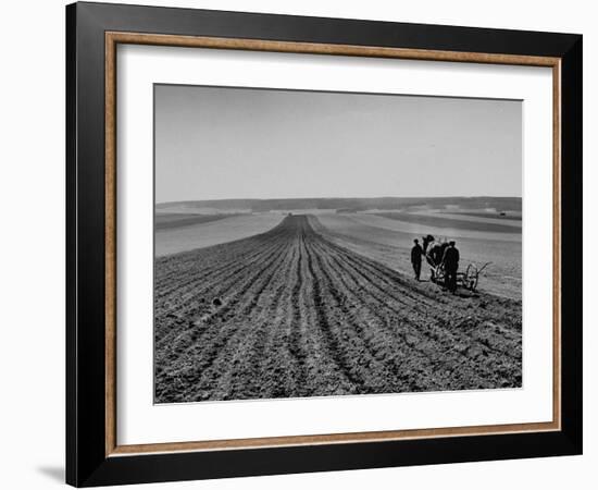 Farmer Lossening Top Soil of His Field-Dmitri Kessel-Framed Photographic Print