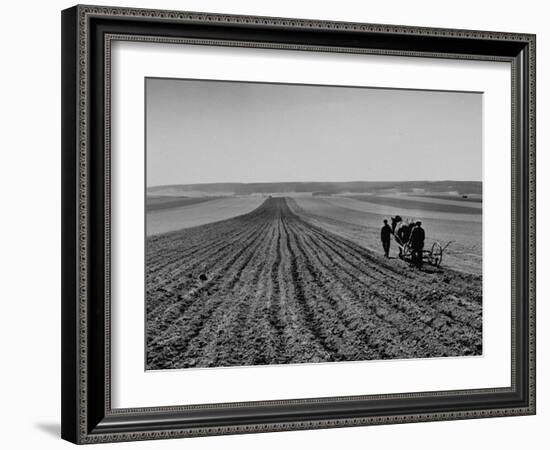 Farmer Lossening Top Soil of His Field-Dmitri Kessel-Framed Photographic Print