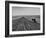 Farmer Lossening Top Soil of His Field-Dmitri Kessel-Framed Photographic Print