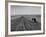 Farmer Lossening Top Soil of His Field-Dmitri Kessel-Framed Photographic Print