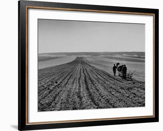 Farmer Lossening Top Soil of His Field-Dmitri Kessel-Framed Photographic Print