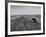 Farmer Lossening Top Soil of His Field-Dmitri Kessel-Framed Photographic Print