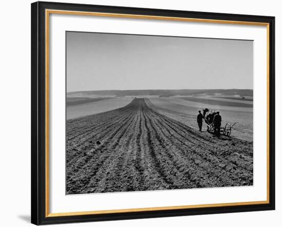 Farmer Lossening Top Soil of His Field-Dmitri Kessel-Framed Photographic Print