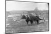 Farmer on Ox Cart-null-Mounted Photographic Print