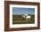 Farmer Ploughing His Field around Taungthman Lake, U Bein, Amarapura, Myanmar (Burma), Asia-Nathalie Cuvelier-Framed Photographic Print