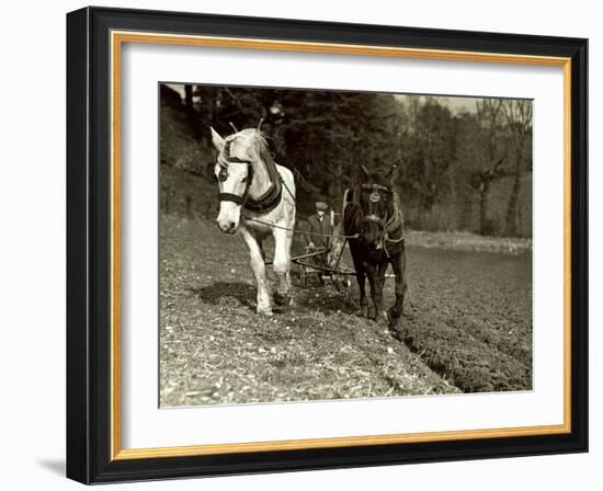 Farmer Ploughing His Field with Horses-null-Framed Photographic Print