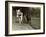 Farmer Ploughing His Field with Horses-null-Framed Photographic Print