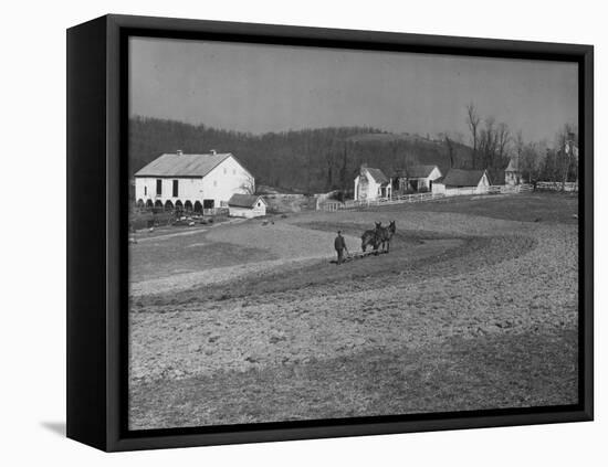 Farmer Plowing Field at "Shadwell", Birthplace of Thomas Jefferson-Alfred Eisenstaedt-Framed Premier Image Canvas