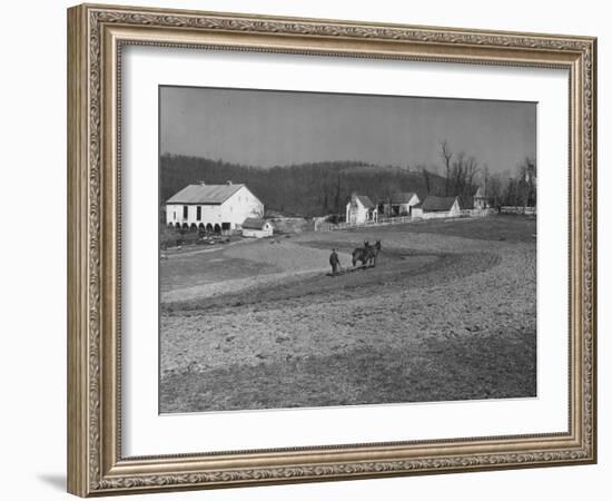 Farmer Plowing Field at "Shadwell", Birthplace of Thomas Jefferson-Alfred Eisenstaedt-Framed Photographic Print