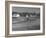 Farmer Plowing Field at "Shadwell", Birthplace of Thomas Jefferson-Alfred Eisenstaedt-Framed Photographic Print