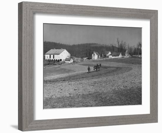 Farmer Plowing Field at "Shadwell", Birthplace of Thomas Jefferson-Alfred Eisenstaedt-Framed Photographic Print