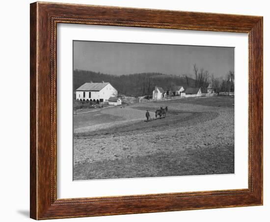 Farmer Plowing Field at "Shadwell", Birthplace of Thomas Jefferson-Alfred Eisenstaedt-Framed Photographic Print