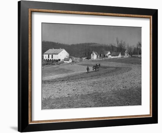 Farmer Plowing Field at "Shadwell", Birthplace of Thomas Jefferson-Alfred Eisenstaedt-Framed Photographic Print