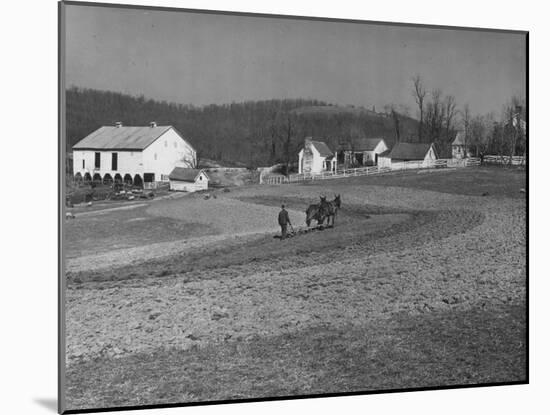 Farmer Plowing Field at "Shadwell", Birthplace of Thomas Jefferson-Alfred Eisenstaedt-Mounted Photographic Print