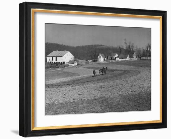 Farmer Plowing Field at "Shadwell", Birthplace of Thomas Jefferson-Alfred Eisenstaedt-Framed Photographic Print