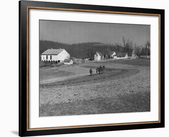 Farmer Plowing Field at "Shadwell", Birthplace of Thomas Jefferson-Alfred Eisenstaedt-Framed Photographic Print