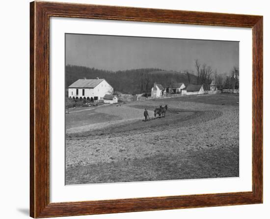 Farmer Plowing Field at "Shadwell", Birthplace of Thomas Jefferson-Alfred Eisenstaedt-Framed Photographic Print