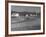 Farmer Plowing Field at "Shadwell", Birthplace of Thomas Jefferson-Alfred Eisenstaedt-Framed Photographic Print